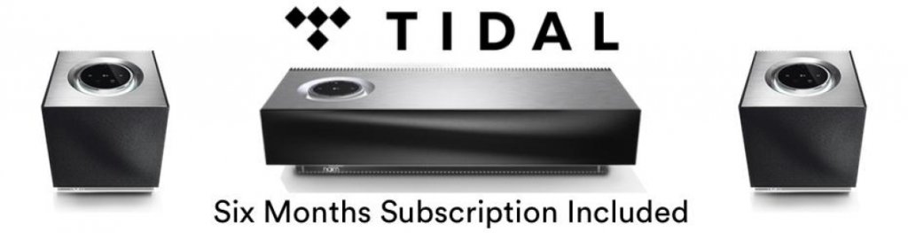 Claim Your 6 Months of Tidal.