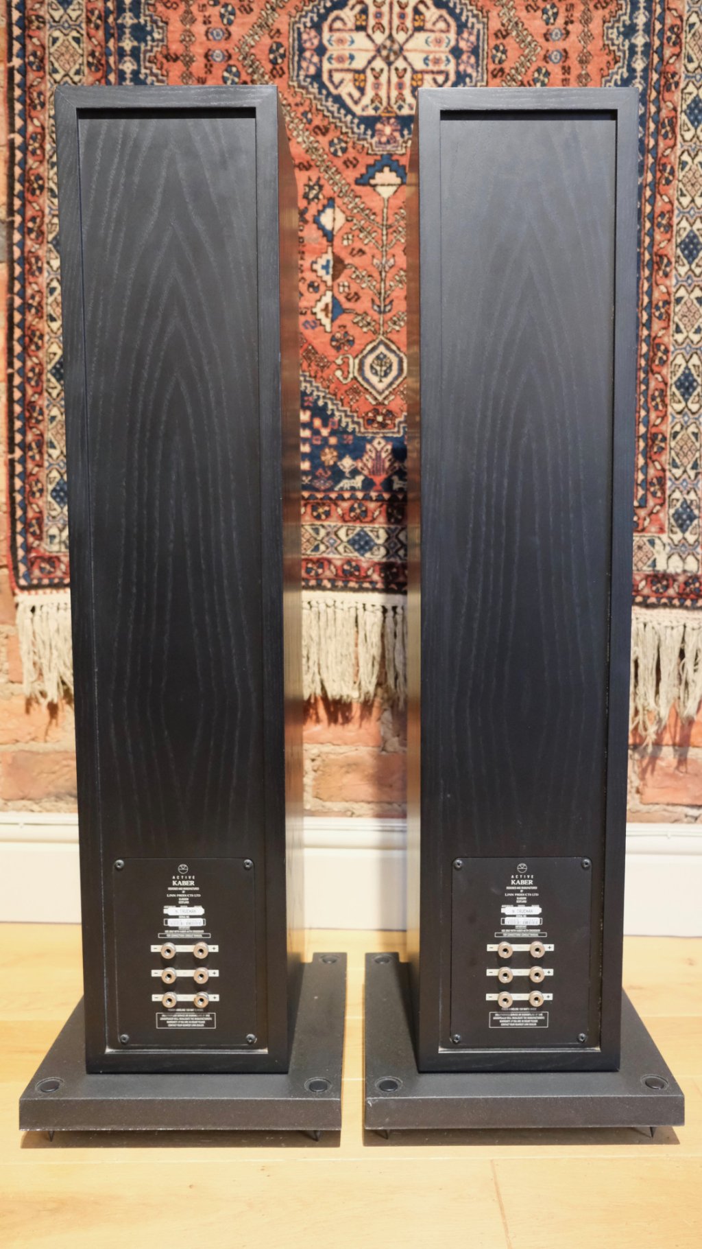 Linn Kaber Rear View.
