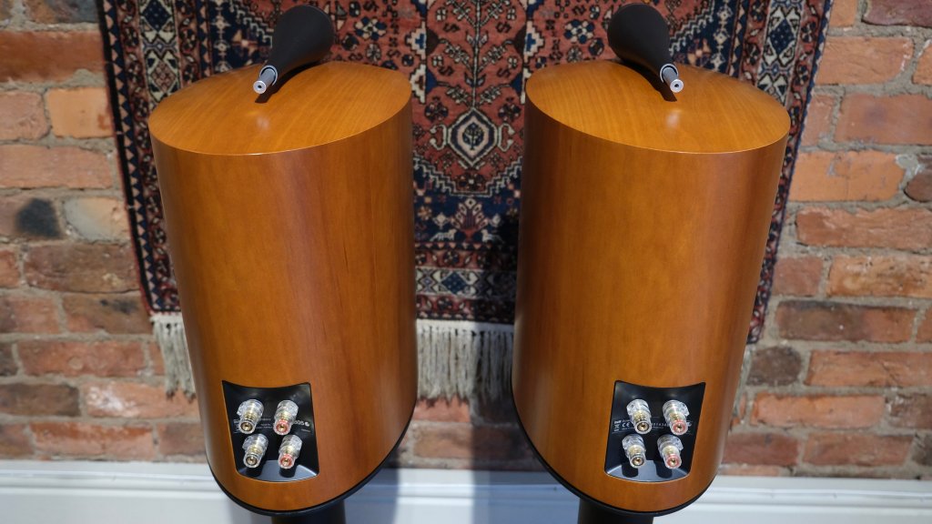 Bowers & Wilkins 805s Rear View Closeup.