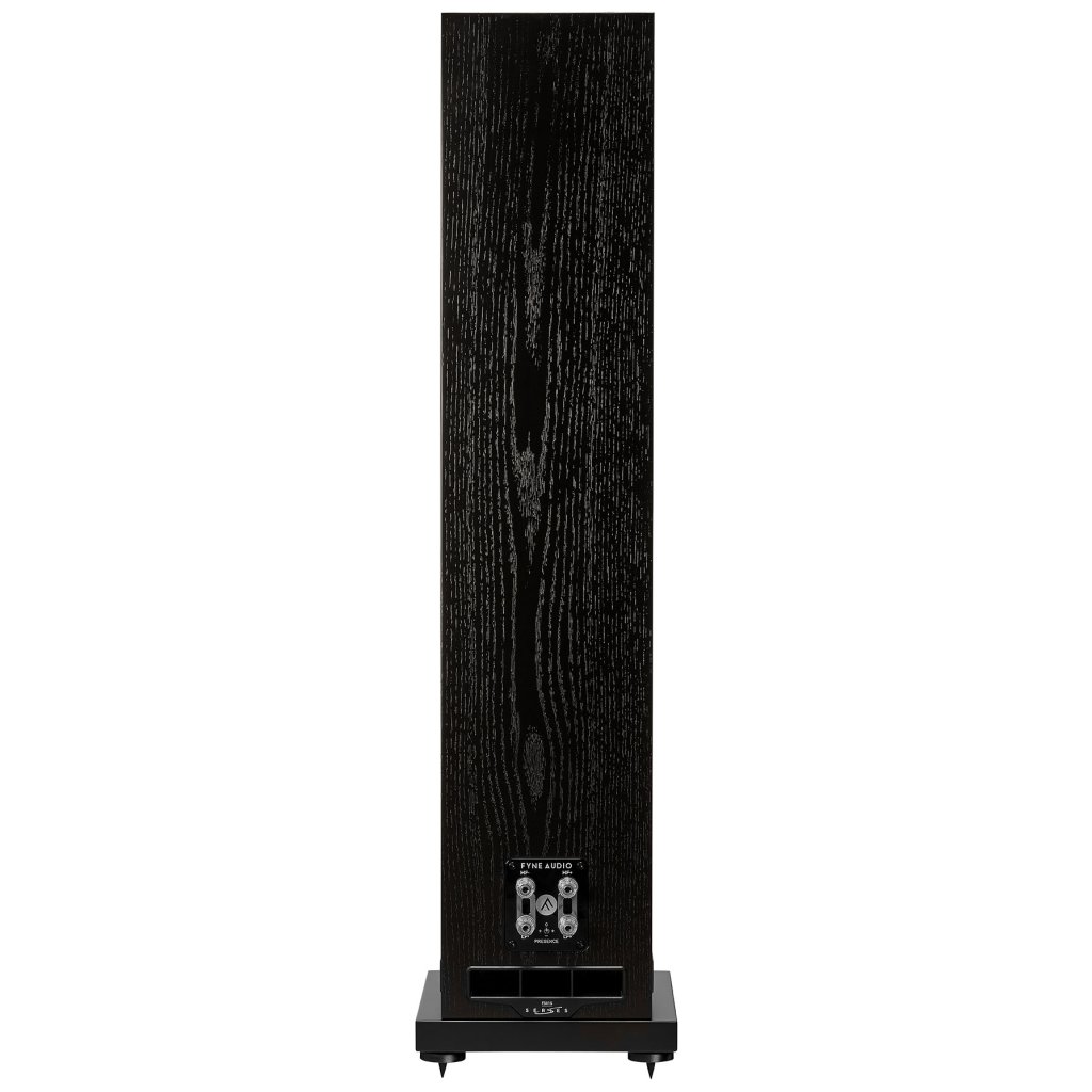 Fyne Audio F501S.